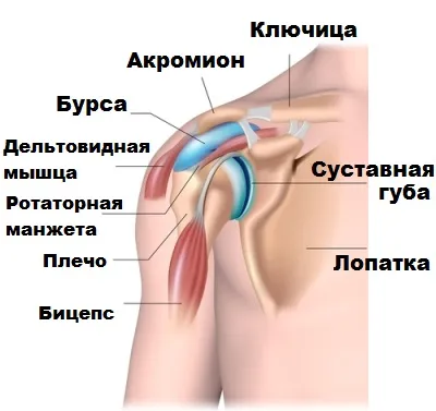 Kár, hogy a supraspinatus ín