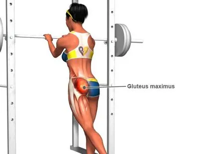 Изграждане на тялото на мечтите си, как да се помпа на краката и задните части