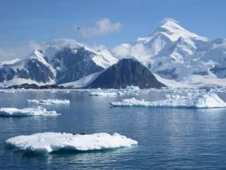 Природа, растения и животни от Антарктика