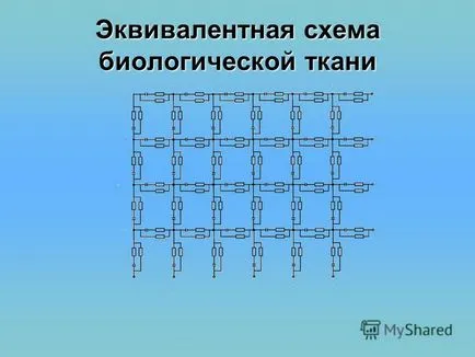 Представяне на електрическото съпротивление томография