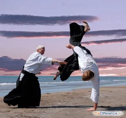 Mi a különbség az aikido karate