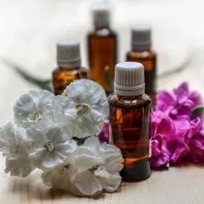 Puncte de atractie in lumea parfumurilor găsi aroma lor