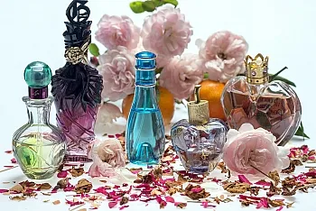 Puncte de atractie in lumea parfumurilor găsi aroma lor