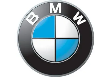 masina Conector pinout BMW ia în considerare în detaliu