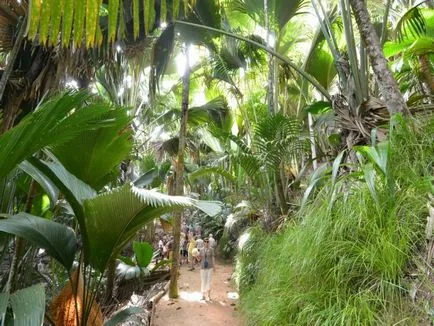 Paradisul în Seychelles, în revizuirea