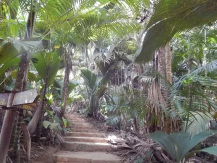 Paradisul în Seychelles, în revizuirea