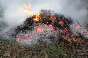 4 начини за рециклиране на отпадъци в страната, вашите 6 дка