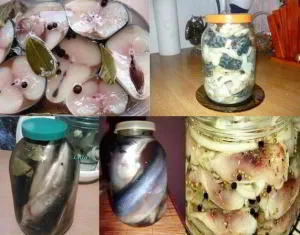 Retete 12 retete pentru sărat home-macrou, hering, sardine și capelin, pe