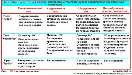 Anestezia regionala sub ecografie - ecocardiografie in anestezie (soarta, papură)