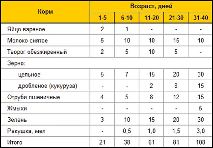 Curcani de reproducție la domiciliu pentru incepatori, sfaturi despre cum să crească