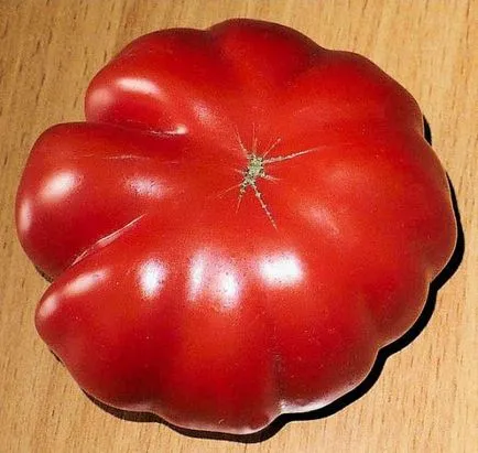 soiuri de tomate striate