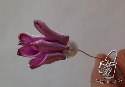 Astra от сатенена панделка, цветя със собствените си ръце