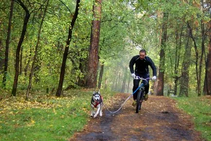 Bikejoring a Husky - aktív sport Husky