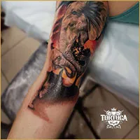 tatuaj nedureros, un tatuaj, un salon de tatuaj - Tortuga - 24 de ore