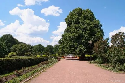 Big rozariu în Sokolniki Park din Moscova