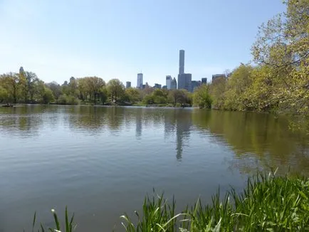 Central Park, New York, USA leírás, képek, ahol a térképen, hogyan juthat