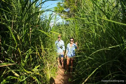 Ce să vezi în Hawaii - Maui - nuanțe care nu sunt