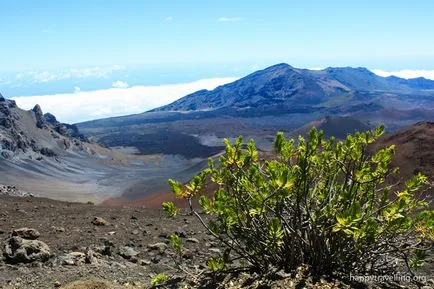 Ce să vezi în Hawaii - Maui - nuanțe care nu sunt