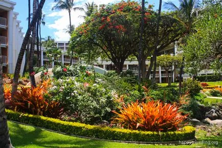 Amit látni Hawaii - Maui - árnyalatok, amelyek nem