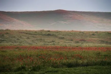 По-нататъшни планове