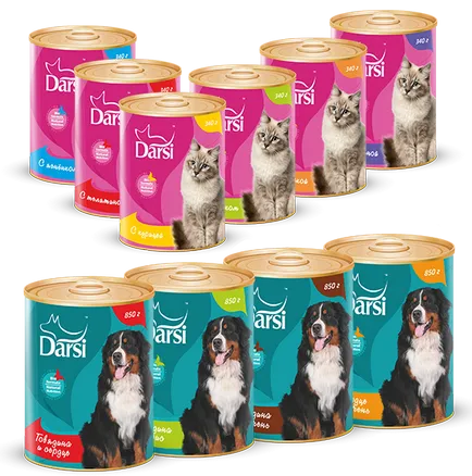 Darsi (Darcy)