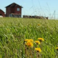 Casa de pe 2 gazdă, cu intrări diferite