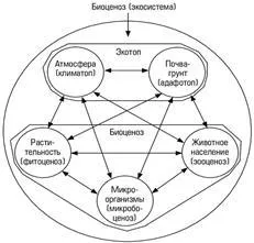 Екосистемите като структурна и функционална единица на биосферата - подхода на екосистемите