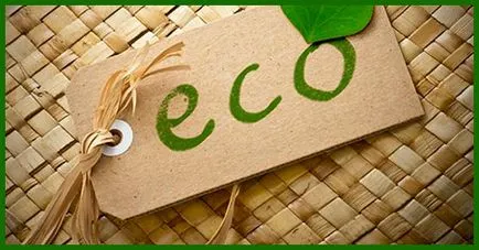 Eco curățarea apartamentului, curățare ecologice