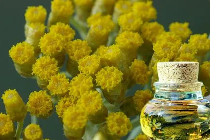 Helichrysum illóolaj