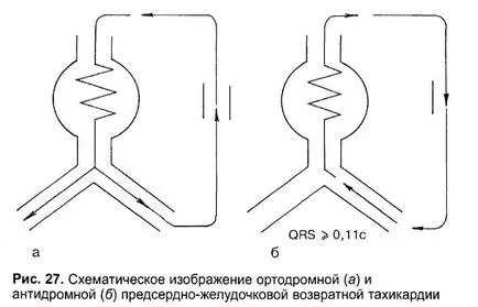 Bazele electrofiziologice ECG