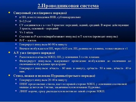 Elektrofiziológiai bázisok EKG anatómiai jellemzők 1