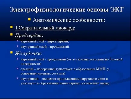 Електрофизиологични бази ЕКГ анатомичните особености 1