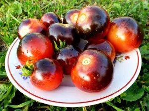 Cameră Violet, casa de tomate