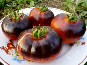 Cameră Violet, casa de tomate