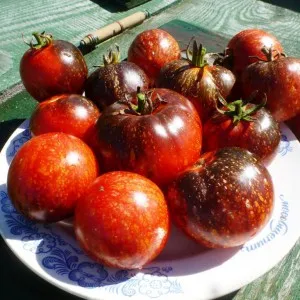 Cameră Violet, casa de tomate