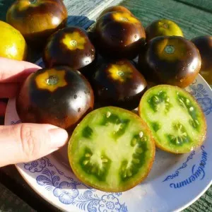 Cameră Violet, casa de tomate