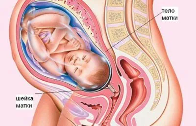 Хипогонадизъм при мъжете това е, хипогонадотропичен, hypergonadotrophic