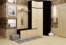 Interior hol fotografie și design al apartamentului, copii în casă, cerințele de proiectare, spectacol