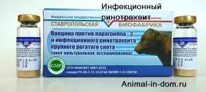 IBR, tratamentul animalelor domestice