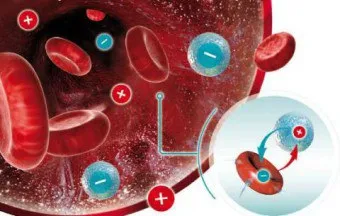 Immunglobulin terhesség alatt, és hogyan kell használni, milyen