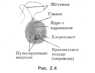 Информация за модели