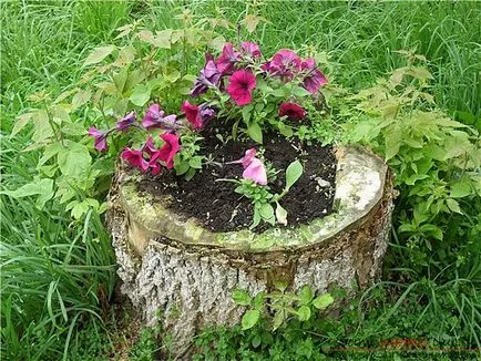 Érdekes ötlet és javaslat létrehozása saját kezét szokatlan vázák a kertben