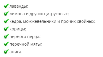 Как да се справим с мравките в саксии