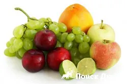 Какви са плодове, зеленчуци и плодове могат да се консумират куче - полезни свойства, витамини