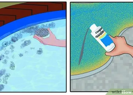 Cum sa scapi de alge în piscină