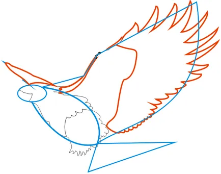 Как да се направи орел с молив, бои етапи