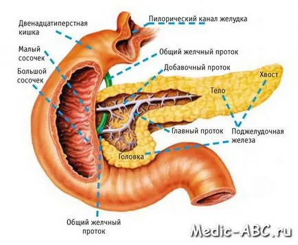 Cum de a trata un atac de pancreatita