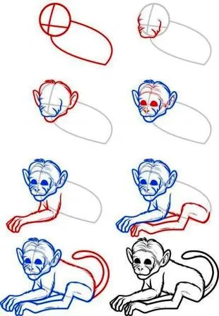 Cum de a desena o maimuță pentru copii