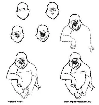 Как да се направи на маймуна за деца