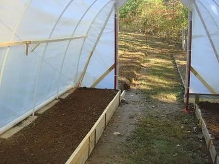 Hogyan fertőtlenítse a földre az üvegházban Phytophthora kálium-permanganát és a réz-szulfát